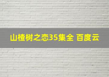 山楂树之恋35集全 百度云